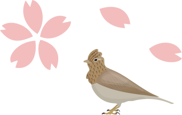 鳥と桜のイラスト